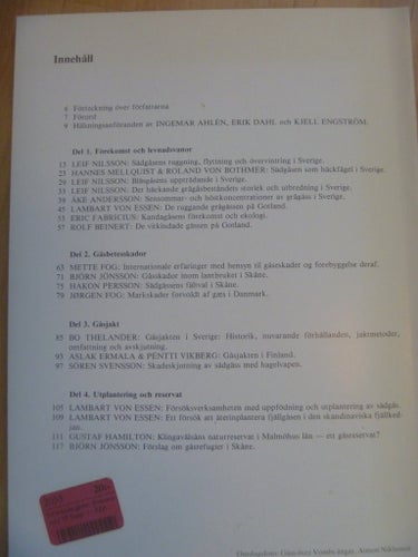 De svenska gässen
