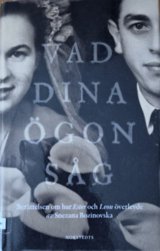 Snezana Bozinovska - Vad dina ögon såg