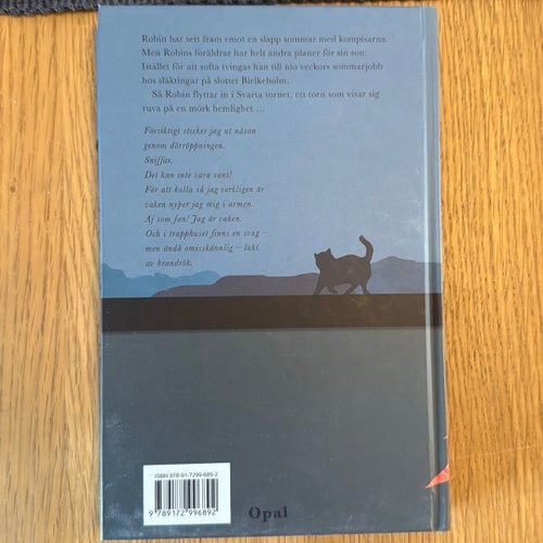 Svarta tornet av Malin Stehn