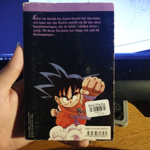 Dragon Ball: Den Stora Turneringen av Akira Toriyama, 1998