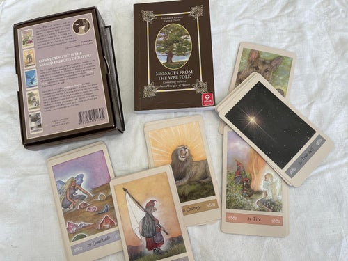 Messages from the Wee folk av Jennifer A. Murphy
