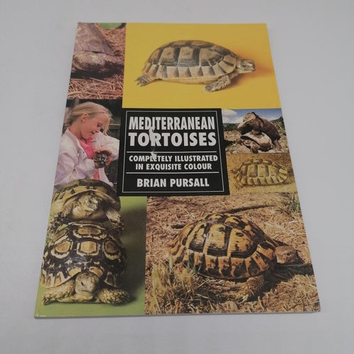 Mediterranean Tortoises
