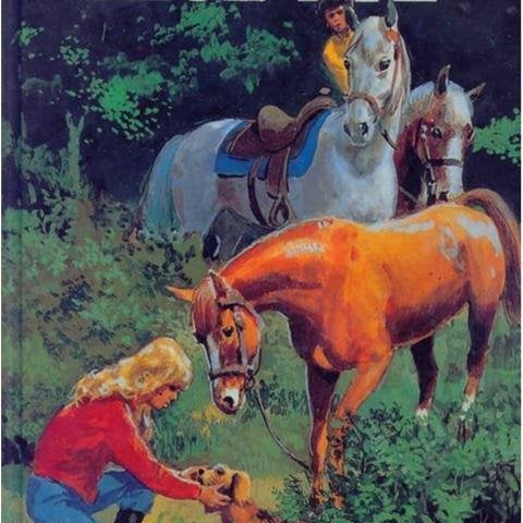 Bra gjort , BLUE EYE - Debbie Ibbotson - HÄSTBOK