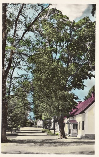 MEDEVI St Gången och Spåalmen. Walfrid Nilsson, Motala. A&Cöster. Handkolorerat