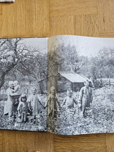 Arvet: Bilder och röster från ett fjärran land av Henning Hamilton, 2004