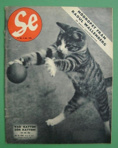 SE nr 43 1955 - Hugo Theorell, Evert Nyberg, R. Wallenberg