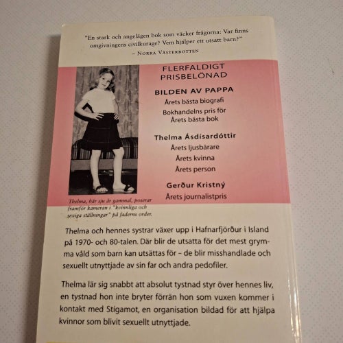 Bilden av pappa av Gerdur Kristný - Thelma Ásdísardóttir (pocket)