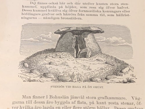 Träsnitt ”Stendös vid Haga på ön Orust” ur bok från 1901