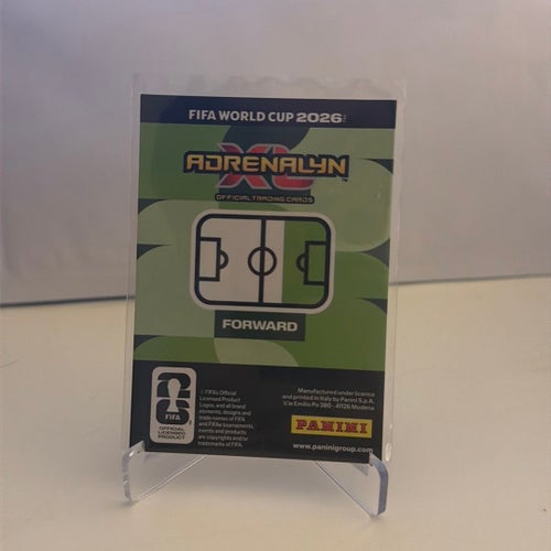 Thierry Henry FIFA World Cup Master fotbollskort
