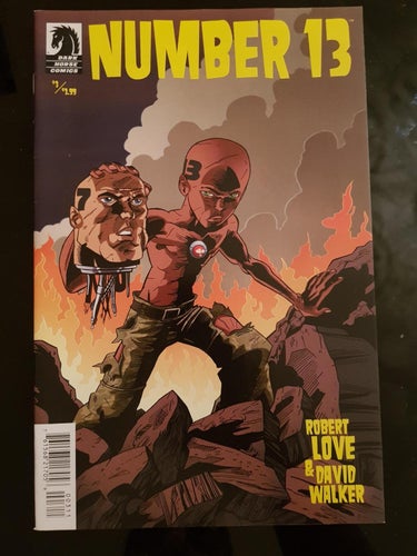 Number 13 (2012 Dark Horse) #3