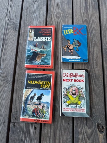 Lassie: Mysteriet med pojken i skogen