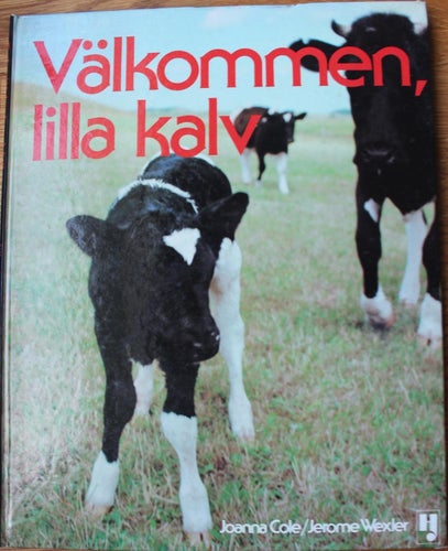 Välkommen lilla kalv 1976