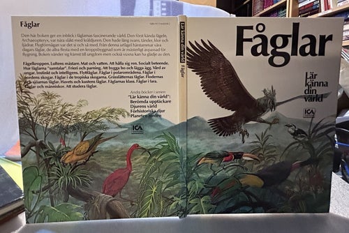 Fåglar, Lär känna din värld av ICA bokförlag, Bok, Very Fine plus