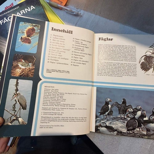 Fåglar, Lär känna din värld av ICA bokförlag, Bok, Very Fine plus