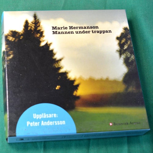 Ljudbok Marie Hermanson Mannen Under Trappan