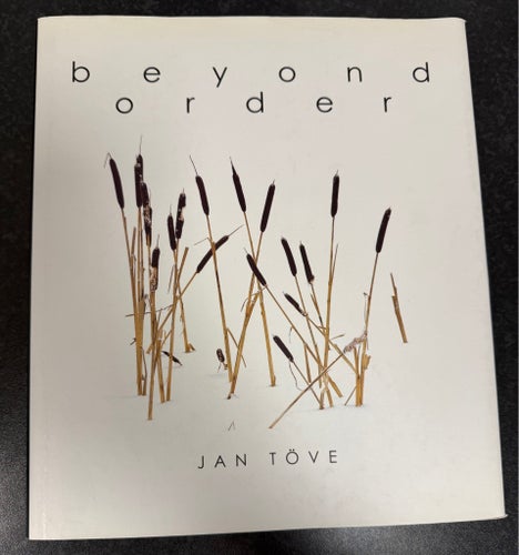 Beyond Order av Jan Töve, 2001