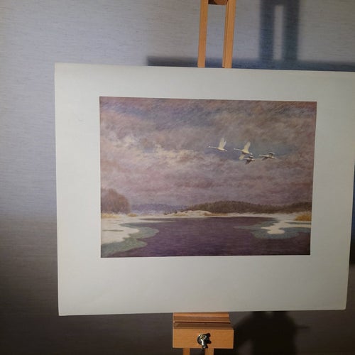 Från Svenska Jaktmarker, Arvid Lundbergh, 6 Bilder Mappens mått 48 x 40 cm.