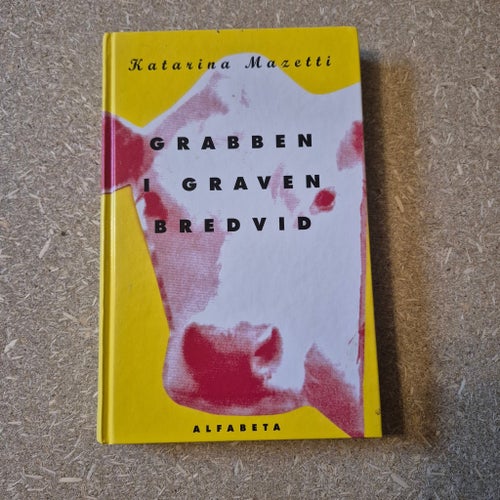 Grabben i graven bredvid av Katarina Mazetti