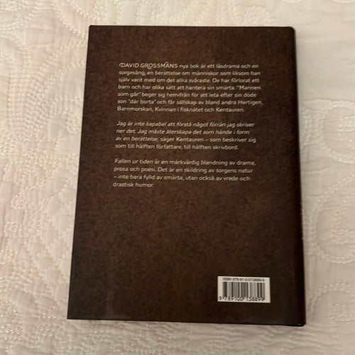 Fallen ur tiden - David Grossman