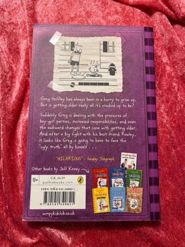 Dagbok för alla mina fans: Den bistra sanningen av Jeff Kinney