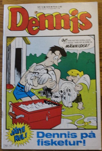 DENNIS 1976 NR 13