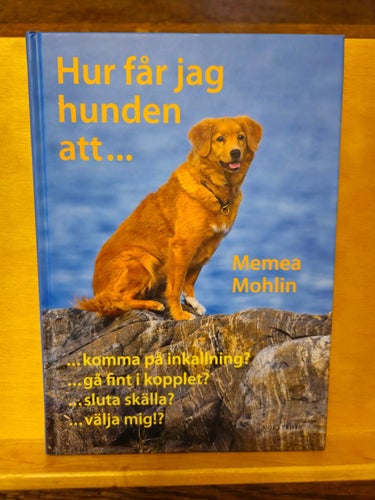 Hur får jag hunden att..., Memea Mohlin