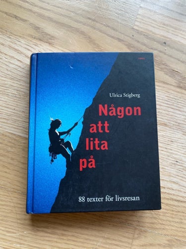 Någon att lita på av Ulrica Stigberg, 2001