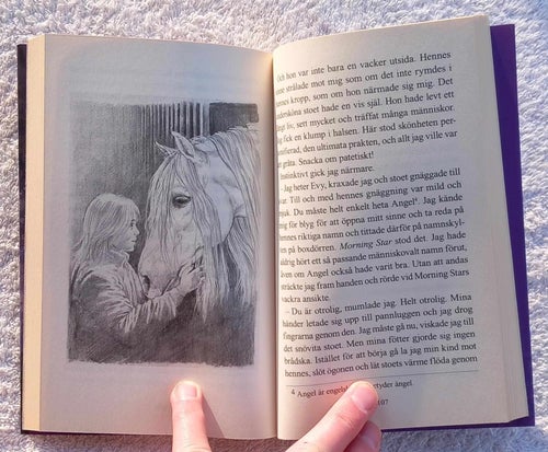 I en främmande värld (ungdomsbok, hästar)