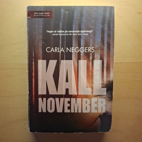 Kall November av Carla Neggers, 2006