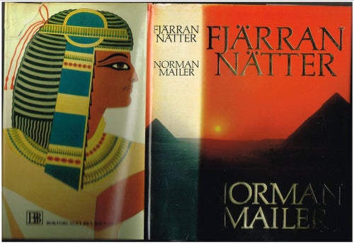 FJÄRRAN NÄTTER - Norman Mailer (1984)