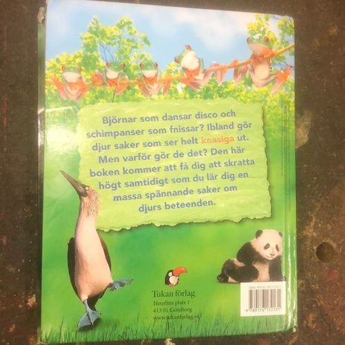 Knasiga djur : Roliga saker som djur gör