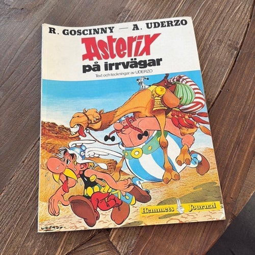 Asterix på irrvägar - R. Goscinny, A. Uderzo