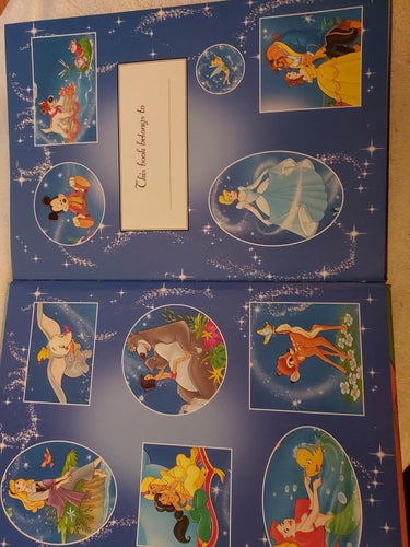 bok Disney The LION KING 20x28 cm !