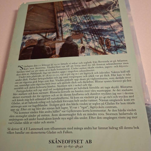 Marinens skonerter : med Gladan och Falken de första 50 åren
