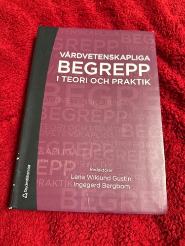Vårdvetenskapliga begrepp i teori och praktik av Lena Wiklund Gustin, Ingergerd