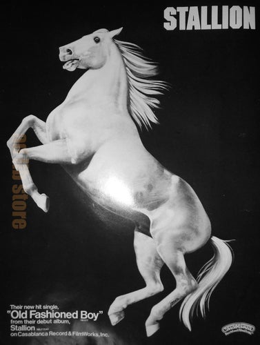 STALLION - OLD FASHIONED BOY, STALLION, CASABLANCA RECORDS TIDNINGSANNONS 1977