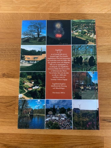 Ängelholm Från A till Ö : Hembygdsboken 2000
