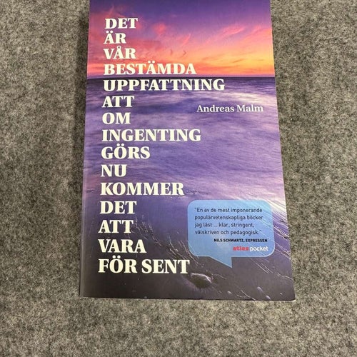 Andreas Malm - Det är vår bestämda uppfattning att om ingenting görs nu kommer d