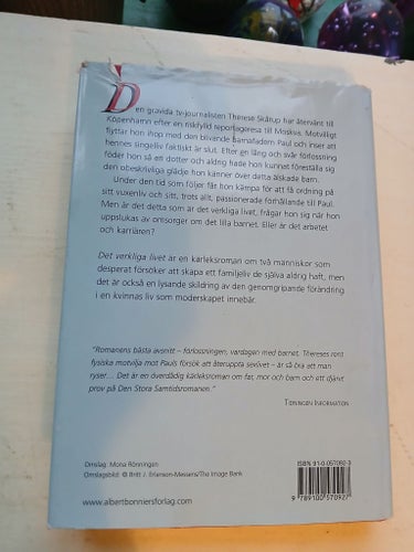 Det verkliga livet - Hanne Vibeke Holst