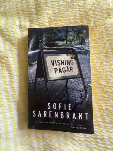 Visning pågår av Sofie Sarenbrant, 2014
