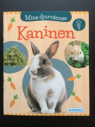 Kaninen - Mina djurvänner - KÄRNAN - lite större än en pixi bok