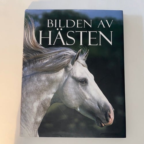Bilden av hästen