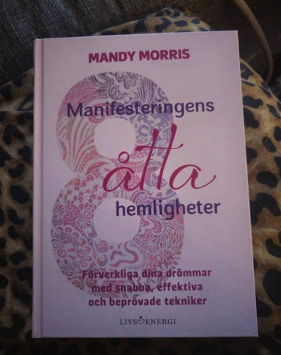 Manifestationens åtta hemligheter - Mandy Morris