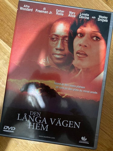 Den långa vägen hem
