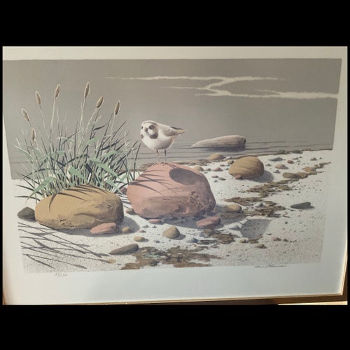 Litografi Strandliv - av Rune Johansson
