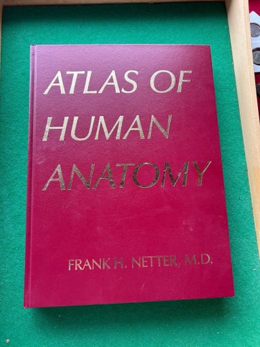ATLAS OF HUMAN ANATOMY av Frank H. Netter, M.D. (1991)