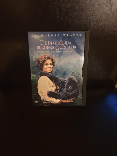 De dimhöljda bergens gorillor / snapcase