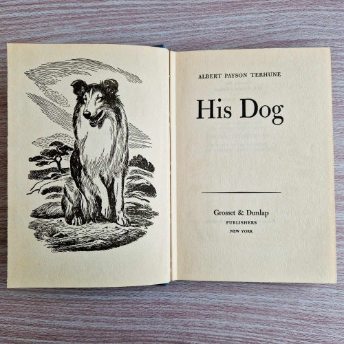 His Dog Albert Payson Terhune Vintage Book Collie Story Classic