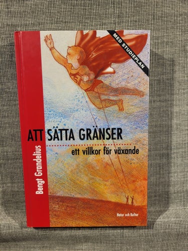 Att Sätta Gränser av Bengt Grandelius, 1997