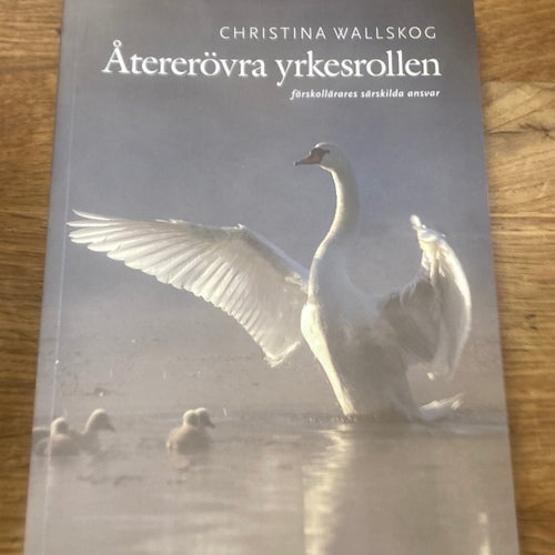 Återerövra yrkesrollen - Christina Wallskog